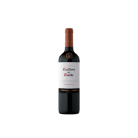 Concha y Toro Casillero Del Diablo Carmenere 750ml