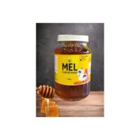 Kit 2 Mel Flor de Minas com Favo De Abelha Silvestre Natural remédio Doce