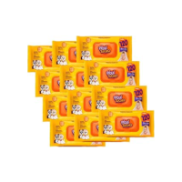 Kit com 12 Pacotes de Lenços Umedecidos Piquitucho 120 Unidades Cada – Total 1.440 Lenços – Hipoalergênicos, Sem Álcool, Com Aloe Vera