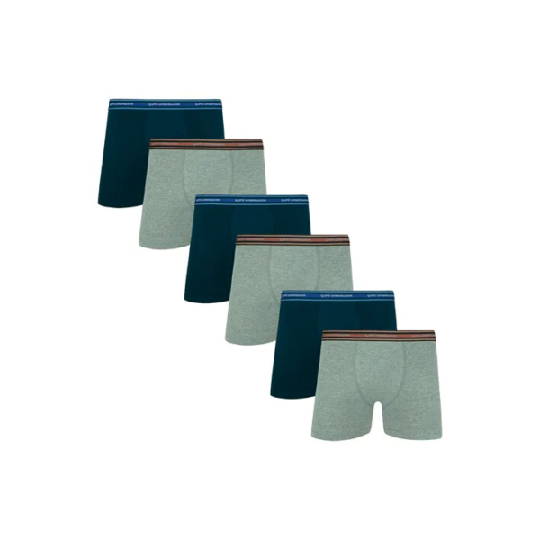 Kit Com 6 Cuecas Boxer Adulto Algodão Lupo