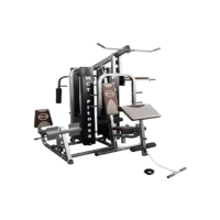 Multi Estação Pro Deluxe 204Kg Anilhas WCT Fitness Musculação Completa Treino Peito Perna Costa Supino Máquina Voador Barra Pulley Cadeira Extensora Banco Scott Legg Press Abdominal Paralela