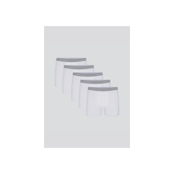 Kit 5 Cuecas Boxer Com Elástico Personalizado Hering