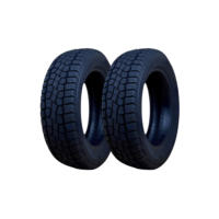 Kit 2 Pneu 205/60r15 Scorpion Atr Pirelli 91h Aro 15