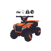 Quadriciclo Infantil Elétrico Marcha Frente/ré Lj Zippy Toys
