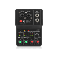 TEYUN Q-12 Interface de Áudio Placa de Som 2 Canais Placa De Som Mixer Mini Mesa de Som Mixer Profissional Para Estúdio