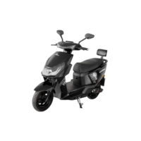 Scooter elétrica Wehawk Super 1000W 60V 20Ah 2 lugares estilo bicicleta