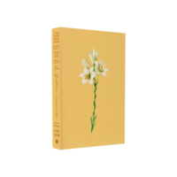 Bíblia Sagrada Lírios | ARC | Letra Maior | Harpa e Corinhos | Capa Brochura