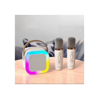 Alto-Falante bluetooth Karaoke Microfone Duplo Sem Fio