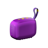 Caixa de Som, inava, Go-4, Bluetooth, Portátil,12h de reprodução, À Prova D'água IP67, TWS/FM/USB/TF(roxo)