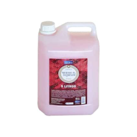 SABONETE LIQUIDO 5L MORANGO COM CHAMPAGNHE/UN/PREMISSE