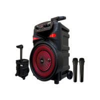 Caixa de Som Grande Amplificada 2000w com Rodinha e 2 Microfones Sem Fio LED MP3