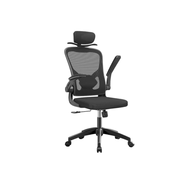 Cadeira de escritório ergonômica com estofado de mesh (Preto)