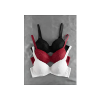 Kit 3 Sutiãs Com Bojo Rendado Com Alça Reforçada Revenda