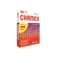 Papel sulfite A4 75g 210x297 com 300 fls Chamex