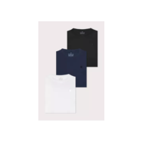 Kit 3 Camisetas Masculinas Regular Algodão Polo Wear Sortido