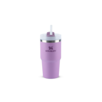 Stanley - Copo Quencher H2.0 FlowState 591ml - Copo de aço inoxidável com tampa, isolamento a vácuo, para água, chá gelado, café, smoothies e muito mais, Lilac