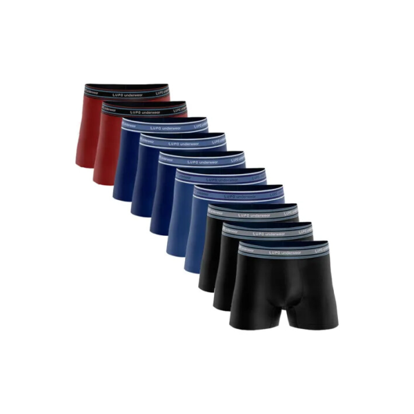Kit 10 Cueca Boxer Lupo Algodão Box Atacado Masculina Preta