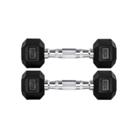 Par Halteres 2kg +2kg Dumbbell Sextavado Emborrachado Pegada Cromada Gallant (gdb02f3b-pt)