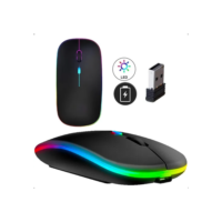 Mouse Sem Fio Recarregável Wireless Optico Led Rgb Ergonômico Sem Fio Para Pc Desktop Notebook Tablet Smartphone Davely Preto