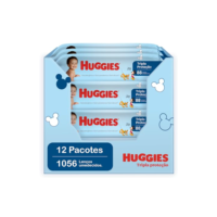 Huggies Lenços Umedecidos Higiene Diária Rendem 2x Mais 12 x 88 Un
