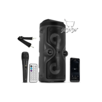 Caixa De Som Portátil Bluetooth Rádio Fm Usb Sd Controle Remoto Microfone Torre