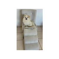 Escada Pet Nuvem com Ossinho - Veludo Premium