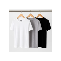 Kit 3 Camisetas Algodão Dia Dia Sandrini Básica Conforto