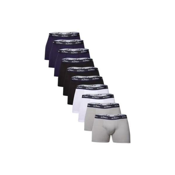 Kit Com 10 Cuecas Boxer Com Elástico Masculina Zorba Oferta