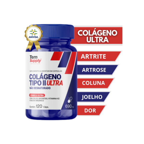 Colágeno Tipo 2 Ultra Premium Top De Linha 120 Cáps 690mg Tem Supply