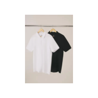 Kit Com 2 Camisas Polo Básicas Masculinas Hering