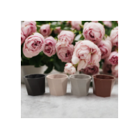 Kit com Mini Vasos Cachepôs Torcido para Plantas Suculentas Decorativos de Plástico Injetado 5x6