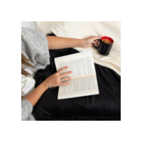 Cobertor Manta Fleece Casal Lisa Super Macia 1,80 X 2,00