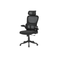 Cadeira Escritório Ergonômica B500 Luvinco Cor Preto Com Suporte Lombar Estofado Mesh
