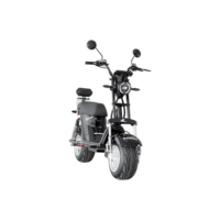 Scooter Elétrica 2 Lugares Wx-11 1000w Autonomia Até 45km