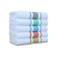 Kit 05 Pano de Prato Atoalhado Para Cozinha Felpudo Premium Gourmet 45x70cm 370g/m² 100% Algodão - Sortido