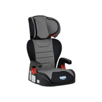 Burigotto Cadeira Para Auto Protege Reclinável 15-36 Kg Mesclado Cinza