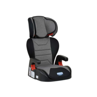 Burigotto Cadeira Para Auto Protege Reclinável 15-36 Kg Mesclado Cinza