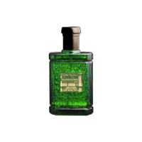 Paris Elysees Handsome EDT 100ml para masculino