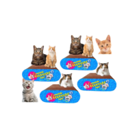 Kit 4 Arranhador Para Gatos De Papelão-Terapêutico Promoção