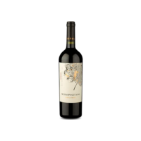 Vinho Tinto Chileno Metropolitano D.O. Valle Central Carménère