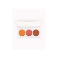 paleta multifuncional bronzer iluminador e blush beleza cea
