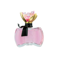 La Petite Fleur D'amour Paris Elysees Edt - Feminino 100ml