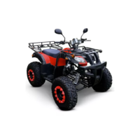 Quadriciclo Adventurepro 250cc Com Tanque De 4l Gasolina Gl