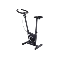 Dream Fitness EX 450 - Bicicleta Ergométrica Vertical, Chumbo, Único