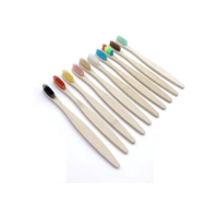 Escovas Dente Bambu Ecológicas - 10 Uni