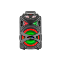 Caixa de Som Amplificada Amvox ACA 255 Hit Woofer 8" Portátil Bluetooth Preto