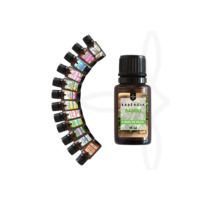 10 Essências Premium Para Umidificador, Difusor, Sabonetes, Cheirinho de Carro | Alta Fixação 15ml