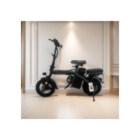 Bicicleta elétrica dobrável para adultos, pedal tripulado, compras ao ar livre, viagem