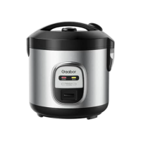 Panela De Arroz Rc-20M01A, 220V, 5 Xícaras 220V - Gaabor