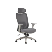 Cadeira Ergonômica Elements Astra Pro Cinza